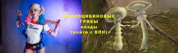мдпв Балабаново